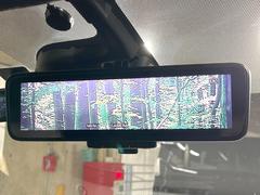 �ڥ���ƥꥸ����ȥ롼��ߥ顼�۸��ʤ��礭�ʲ�ʪ��Ʊ��ԤǸ�������ǧ���Ť餤���Ǥ�¿�������餬���Ƥ�����ξ�����α�����롼��ߥ顼���ɽ�������ꥢ�ʻ볦�Ǿ����γ�ǧ����ǽ�Ǥ��� 6