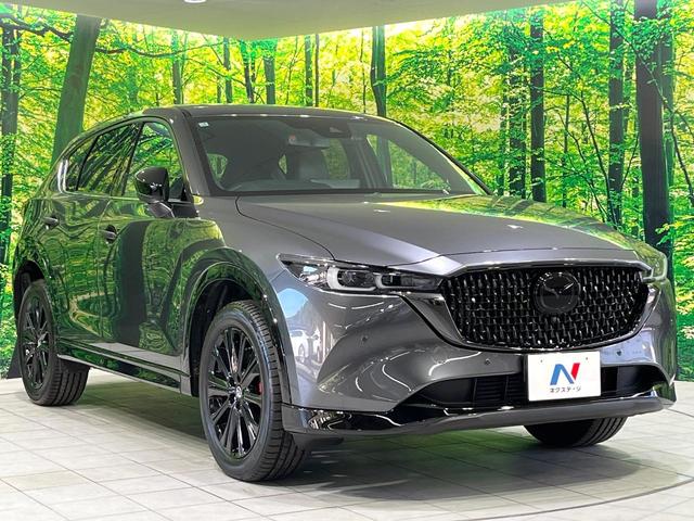 CX-5 XD スポーツアピアランス 禁煙車 純正10インチナビ 全周囲カメラ BOSEサウンド 衝突被害軽減システム レーダークルーズ レザーシート 前席シートエアコン ETC ドラレコ スマートキー LEDヘッド オートハイビーム(16枚目)