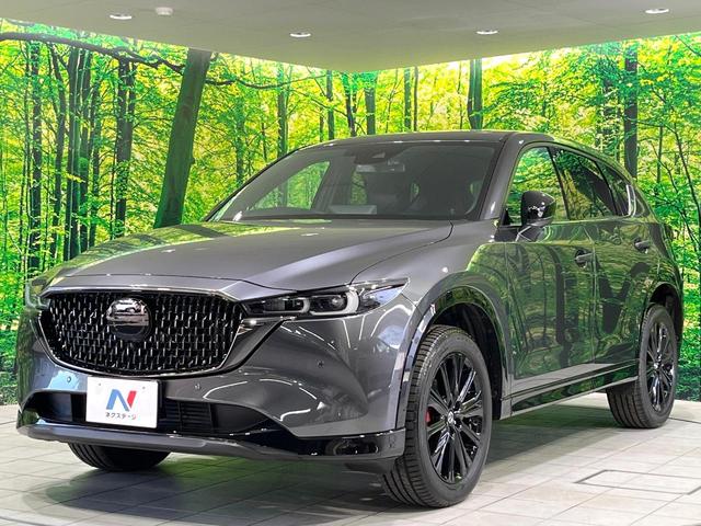 CX-5 XD スポーツアピアランス 禁煙車 純正10インチナビ 全周囲カメラ BOSEサウンド 衝突被害軽減システム レーダークルーズ レザーシート 前席シートエアコン ETC ドラレコ スマートキー LEDヘッド オートハイビーム(23枚目)