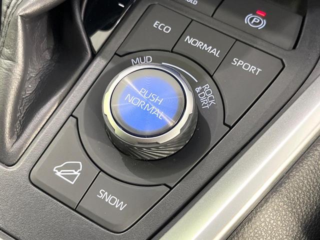 ＲＡＶ４ Ｇ　Ｚパッケージ　禁煙車　モデリスタエアロ　４ＷＤ　１０．５型ディスプレイオーディオ　全周囲カメラ　衝突軽減装置　レーダークルーズ　ＥＴＣ　Ｂｌｕｅｔｏｏｔｈ　フルセグ　前席シートエアコン　パワーシート　ドラレコ（57枚目）