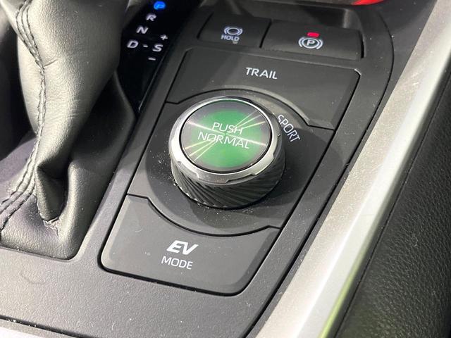 RAV4 ハイブリッドアドベンチャー オフロードパッケージII 4WD 禁煙車 純正10.5型ディスプレイオーディオ バックカメラ 衝突軽減装置 レーダークルーズ シートエアコン シートヒーター LEDヘッド LEDフォグ ルーフレール ブレーキホールド(53枚目)