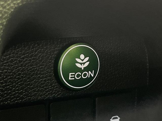 Ｎ－ＯＮＥ Ｇ・Ｌパッケージ　禁煙車　スマートキー　ＨＩＤヘッド　ＥＴＣ　オートライト　オートエアコン　電動格納ミラー　アイドリングストップ　シートリフター　プライバシーガラス　ドアバイザー（38枚目）