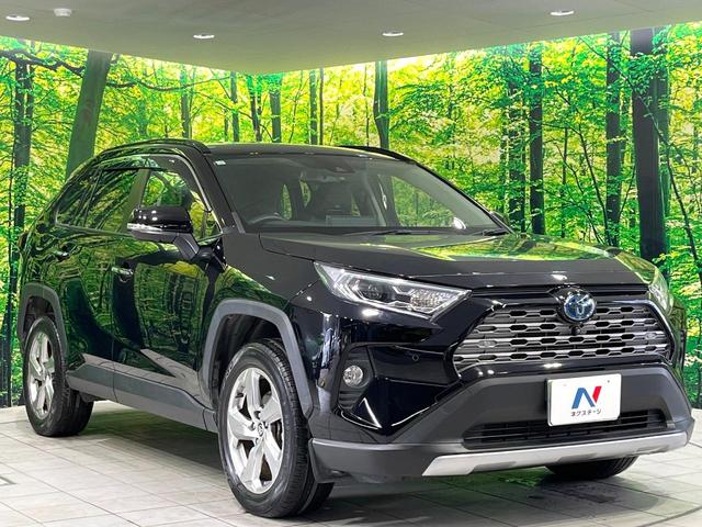 ＲＡＶ４ ハイブリッドＧ　４ＷＤ　禁煙車　純正９型ディスプレイオーディオ　全周囲カメラ　衝突軽減装置　レーダークルーズ　ステアリングヒーター　シートヒーター　シートメモリー　パワーバックドア　ＬＥＤヘッド　オートハイビーム（16枚目）