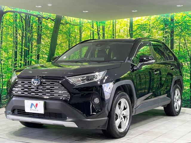 ＲＡＶ４ ハイブリッドＧ　４ＷＤ　禁煙車　純正９型ディスプレイオーディオ　全周囲カメラ　衝突軽減装置　レーダークルーズ　ステアリングヒーター　シートヒーター　シートメモリー　パワーバックドア　ＬＥＤヘッド　オートハイビーム（23枚目）