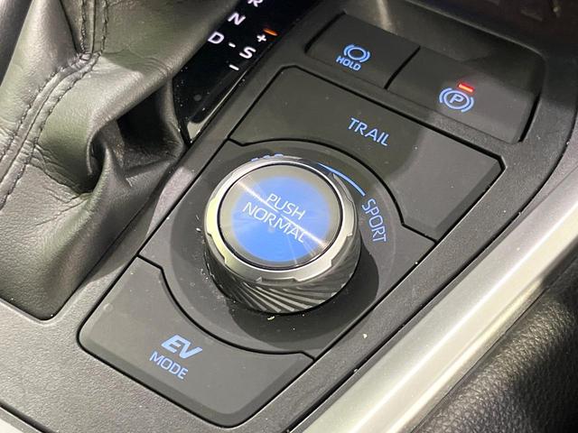 ＲＡＶ４ ハイブリッドＧ　４ＷＤ　禁煙車　純正９型ディスプレイオーディオ　全周囲カメラ　衝突軽減装置　レーダークルーズ　ステアリングヒーター　シートヒーター　シートメモリー　パワーバックドア　ＬＥＤヘッド　オートハイビーム（56枚目）