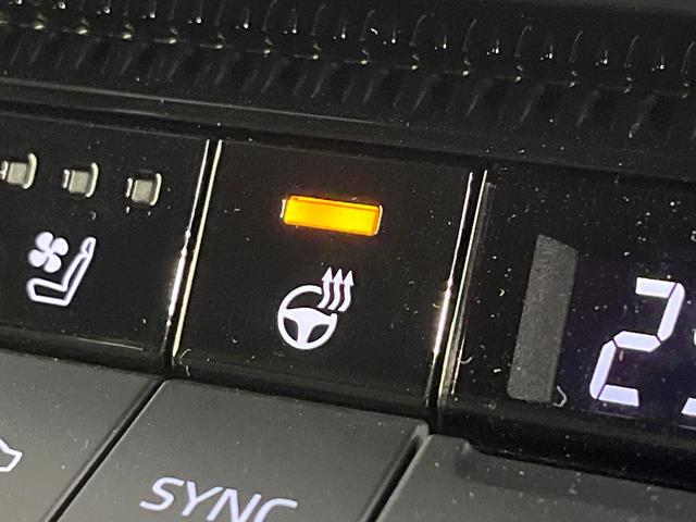 ランドクルーザー250 VX サンルーフ 禁煙車 4WD 純正12.5型ディスプレイオーディオ 全周囲カメラ 衝突軽減装 レーダークルーズ デジタルミラー シートエアコン ステアリングヒーター パワーバックドア パワーシート(45枚目)