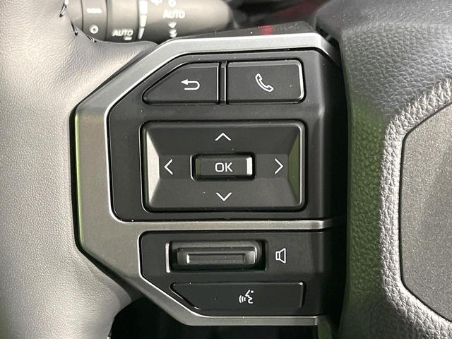 ランドクルーザー250 VX サンルーフ 禁煙車 4WD 純正12.5型ディスプレイオーディオ 全周囲カメラ 衝突軽減装 レーダークルーズ デジタルミラー シートエアコン ステアリングヒーター パワーバックドア パワーシート(55枚目)