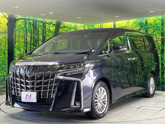 アルファード ２．５Ｓ　Ｃパッケージ　禁煙車　後席モニター　純正９型ナビ　バックカメラ　衝突軽減　レーダークルーズ　両側電動スライド　シートエアコン　ステアリングヒーター　パワーシート　パワーバックドア　ＬＥＤヘッド　ブレーキホールド（23枚目）