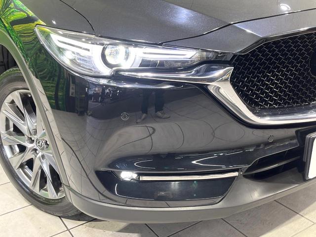 �y�k�d�c�w�b�h���C�g�z���V����ԑ��s�����ǍD�Ȏ��E���m�ۂ����S���ĉ^�]�ł��鍂�P�x�k�d�c�w�b�h���C�g�𑕔��I�_�����x�������A����d�͂��}�����Ă��܂��B