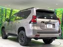 ＴＸ　Ｌパッケージ　７０ｔｈアニバーサリーリミテッド　サンルーフ　４ＷＤ　禁煙車　後席モニター　ＢＩＧ－Ｘ９型ナビ　バックカメラ　衝突軽減装置　レーダークルーズ　サドルタン内装　デジタルインナーミラー　パワーシート　シートエアコン　グレード専用アルミ（26枚目）