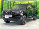 ＴＸ　Ｌパッケージ　マットブラックエディション　サンルーフ　禁煙車　４ＷＤ　純正９型ディスプレイオーディオ　全周囲カメラ　衝突軽減装置　レーダークルーズ　寒冷地仕様　シートエアコン　グレード専用アルミ　パワーシート　ＬＥＤヘッド　クリアランスソナー（30枚目）