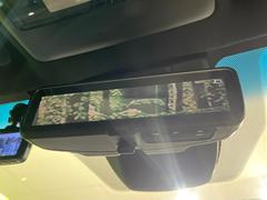 ڥǥ륤ʡߥ顼۸ʤ礭ʲʪƱԤǸǧŤ餤Ǥ¿餬Ƥξα롼ߥ顼ɽꥢʻ볦ǾγǧǽǤ 7