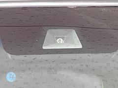 �ڥۥ�����󥷥󥰡�������������μ�ξ����ǧ���������ͤ������ʻ��Ϸ���ȥ֥졼���Ǿ��Ͳ�����ﳲ�ڸ��򥢥����ȡ��������˥ɥ饤�֤򤪳ڤ��ߤ��������ޤ��� 5