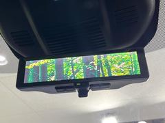 �ڥ���ƥꥸ����ȥ롼��ߥ顼�۸��ʤ��礭�ʲ�ʪ��Ʊ��ԤǸ�������ǧ���Ť餤���Ǥ�¿�������餬���Ƥ�����ξ�����α�����롼��ߥ顼���ɽ�������ꥢ�ʻ볦�Ǿ����γ�ǧ����ǽ�Ǥ��� 7