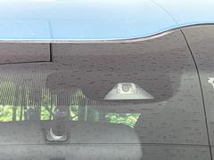 �ڥۥ�����󥷥󥰡�������������μ�ξ����ǧ���������ͤ������ʻ��Ϸ���ȥ֥졼���Ǿ��Ͳ�����ﳲ�ڸ��򥢥����ȡ��������˥ɥ饤�֤򤪳ڤ��ߤ��������ޤ��� 6