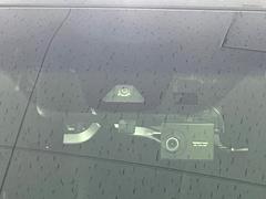 �ڥۥ�����󥷥󥰡�������������μ�ξ����ǧ���������ͤ������ʻ��Ϸ���ȥ֥졼���Ǿ��Ͳ�����ﳲ�ڸ��򥢥����ȡ��������˥ɥ饤�֤򤪳ڤ��ߤ��������ޤ��� 6