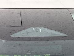 �ڥۥ�����󥷥󥰡�������������μ�ξ����ǧ���������ͤ������ʻ��Ϸ���ȥ֥졼���Ǿ��Ͳ�����ﳲ�ڸ��򥢥����ȡ��������˥ɥ饤�֤򤪳ڤ��ߤ��������ޤ��� 5