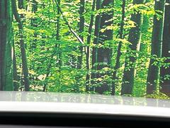 �ڥ��顼�إåɥ��åץǥ����ץ쥤�۸��ߤ�®�٤����Ծ����ǥ�����ɽ���Ǳ�ž�������Υ��饹����ơ����顼�դ��ǻ�ǧ����⤯����ž�������򤺤餵��ɬ�פʾ�����ǧ�Ǥ���ΤǤȤäƤ������ǰ¿��� 6