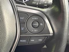 �ڥ졼�������롼������ȥ�����۹�®ƻϩ�Ǥ�Ĺ��Υ���Ԥ��ڤˡ�����ư��®�٤��ݤĥ��롼������ȥ����뤬�����ͷڸ������ƥ��Ϣ�Ȥ��������μ�ξ���Τ��Ƽִ֤��ݤĤ褦��®��Ĵ�ᤷ�Ƥ���ޤ����� 6