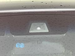 �ڥۥ�����󥷥󥰡�������������μ�ξ����ǧ���������ͤ������ʻ��Ϸ���ȥ֥졼���Ǿ��Ͳ�����ﳲ�ڸ��򥢥����ȡ��������˥ɥ饤�֤򤪳ڤ��ߤ��������ޤ��� 5