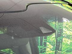 �ڥۥ�����󥷥󥰡�������������μ�ξ����ǧ���������ͤ������ʻ��Ϸ���ȥ֥졼���Ǿ��Ͳ�����ﳲ�ڸ��򥢥����ȡ��������˥ɥ饤�֤򤪳ڤ��ߤ��������ޤ��� 7