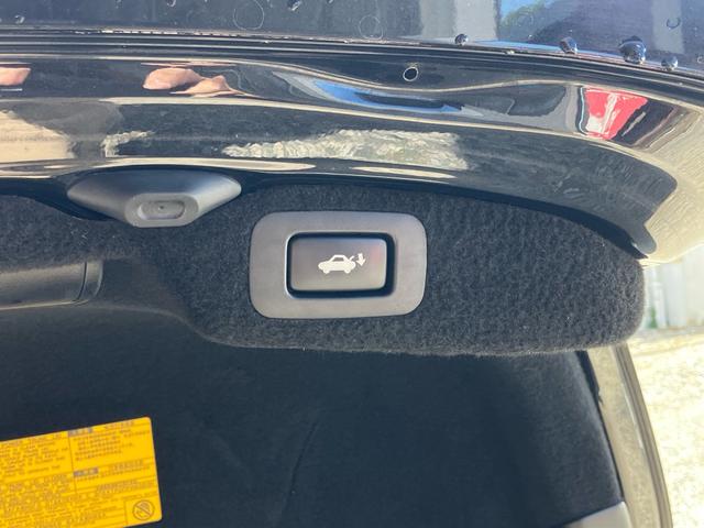 ＬＳ ＬＳ４６０　バージョンＣ　Ｉパッケージ　三眼ＬＥＤヘッドライト　メーカーナビ　イージークローザードア　ブラインドスポットモニター　パワートランク　黒革シート　シートヒータークレンツェ２１インチアルミホイール　クルーズコントロール　地デジＴＶ（30枚目）