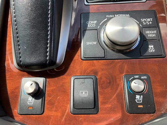 ＬＳ ＬＳ４６０　バージョンＣ　Ｉパッケージ　三眼ＬＥＤヘッドライト　メーカーナビ　イージークローザードア　ブラインドスポットモニター　パワートランク　黒革シート　シートヒータークレンツェ２１インチアルミホイール　クルーズコントロール　地デジＴＶ（41枚目）