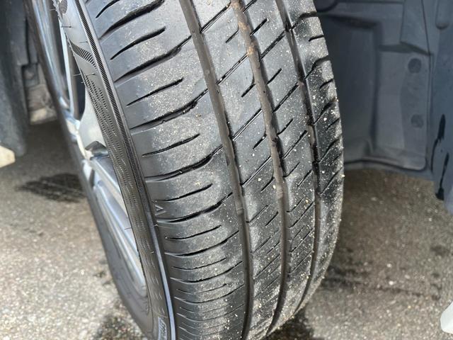 �O��Ƃ��ɂV���R�c���Ă��܂��I