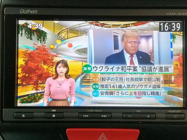 Ｎ－ＢＯＸカスタム Ｇ・Ｌパッケージ　左リアドア電動　リア席スライド・サンシェード　ナビ・ＴＶ・バックカメラ・ＥＴＣ（ナビ連動）　プラズマクラスターオートエアコン　アレルクリーンシート　運転席シートハイトアジャスターＵＶ・ＩＲカットガラス（16枚目）