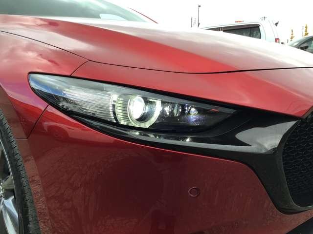 �l�C�̂k�d�c���C�g�I�I��ԑ��s�����邭�Ċy�ɂȂ�܂��ˁI