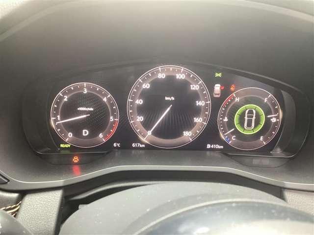 �X�|�[�e�B����������R�A���[�^�[���C���t�H���[�V������ʂɂ͕��ϔR��A�u�ԔR��A�㑱�\�����Ȃǂ�\���o���܂���