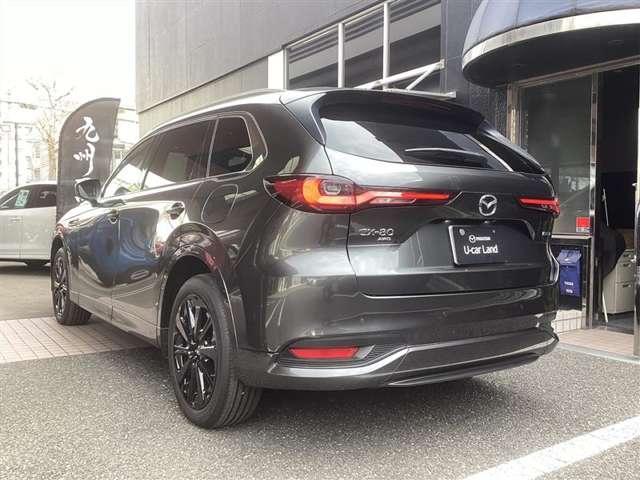 ���A�e�[�������v�ׂ͍��X�|�[�e�B��������܂��B�o���p�[�̃��A�Q�[�g�̃f�U�C���ɂ�������Ĉ�̊�������܂��B�g�m�J�o�[�����ŁA�����������������Ȃ����ɂ��v���C�o�V�[������܂��B