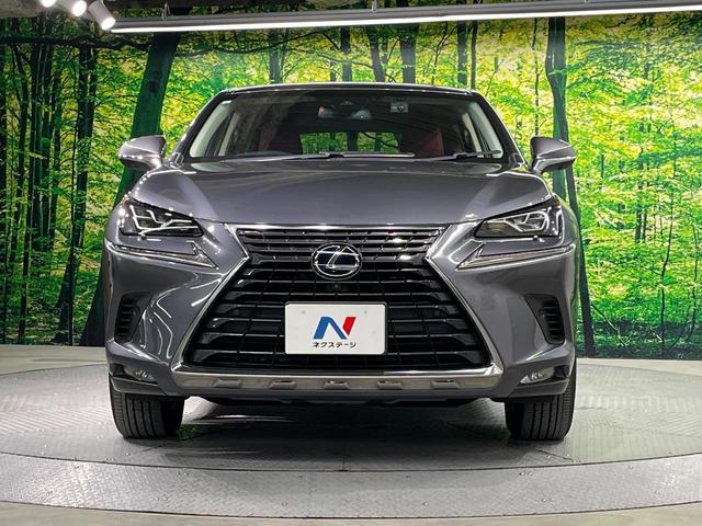 NX NX300h Iパッケージ 後期 純正10.3インチナビ アラウンドビューモニター 衝突軽減 レーダークルーズコントロール パワーバックドア シートメモリ シートヒーター ステアリングヒーター 三眼LED ETC2.0 ドラレコ(14枚目)