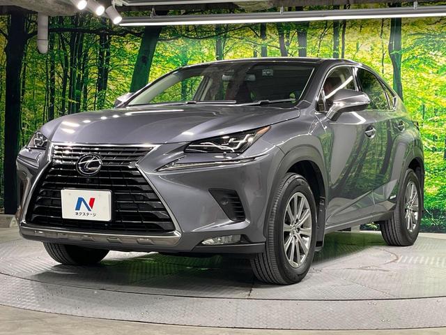 NX NX300h Iパッケージ 後期 純正10.3インチナビ アラウンドビューモニター 衝突軽減 レーダークルーズコントロール パワーバックドア シートメモリ シートヒーター ステアリングヒーター 三眼LED ETC2.0 ドラレコ(71枚目)