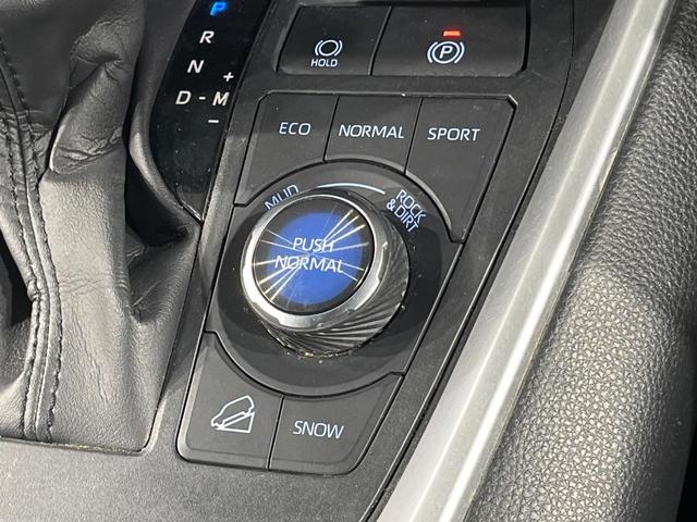 ＲＡＶ４ Ｇ　Ｚパッケージ　９インチナビ　バックカメラ　衝突軽減　レーダークルーズ　禁煙車　パワーバックドア　合皮シート　パワーシート　コーナーセンサー　スマートキー　ＬＥＤヘッド　ビルトインＥＴＣ　純正１９インチアルミ（46枚目）