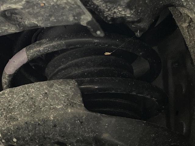 プリウス Z 全周囲カメラ 衝突被害軽減システム 禁煙車 電動リアゲート ハーフレザーシート 前席シートエアコン パワーシート コーナーセンサー スマートキー LEDヘッド ETC2.0 純正19インチアルミ(20枚目)