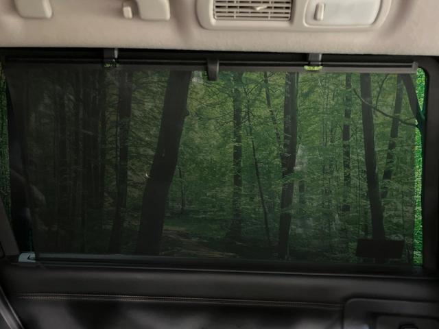 エルグランド 250ハイウェイスターS アーバンクロム 両側電動ドア SDナビ 後席モニター バックカメラ ハーフレザーシート ドラレコ スマートキー LEDヘッド ビルトインETC クルコン 純正18インチアルミ オートライト デュアルエアコン(54枚目)