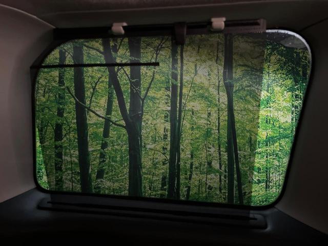 エルグランド 250ハイウェイスターS アーバンクロム 両側電動ドア SDナビ 後席モニター バックカメラ ハーフレザーシート ドラレコ スマートキー LEDヘッド ビルトインETC クルコン 純正18インチアルミ オートライト デュアルエアコン(60枚目)