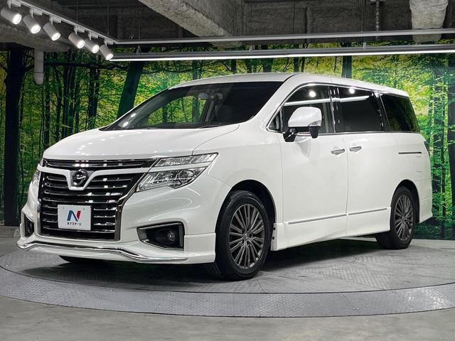 エルグランド 250ハイウェイスターS アーバンクロム 両側電動ドア SDナビ 後席モニター バックカメラ ハーフレザーシート ドラレコ スマートキー LEDヘッド ビルトインETC クルコン 純正18インチアルミ オートライト デュアルエアコン(66枚目)