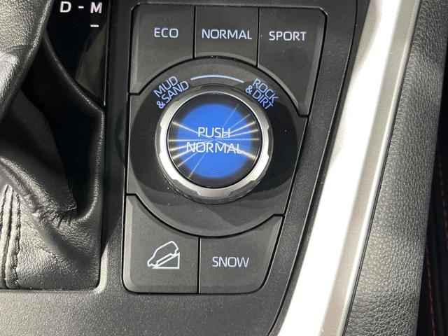 ＲＡＶ４ アドベンチャー　４ＷＤ　ＳＤナビ　バックカメラ　衝突被害軽減システム　レーダークルーズ　パワーシート　コーナーセンサー　スマートキー　ＬＥＤヘッド　ビルトインＥＴＣ　純正１９インチアルミ　オートハイビーム（42枚目）