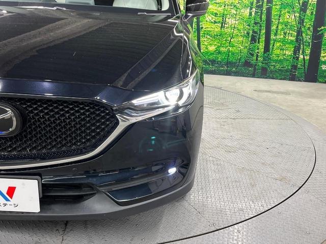 �y�k�d�c�w�b�h���C�g�z���V����ԑ��s�����ǍD�Ȏ��E���m�ۂ����S���ĉ^�]�ł��鍂�P�x�k�d�c�w�b�h���C�g�𑕔��I�_�����x�������A����d�͂��}�����Ă��܂��B