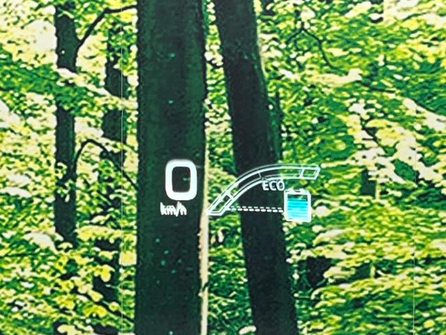 プリウス Ｓセーフティプラス　純正ＳＤナビ　バックカメラ　衝突被害軽減システム　レーダークルーズ　禁煙車　コーナーセンサー　スマートキー　ＬＥＤヘッド　フルセグ　Ｂｌｕｅｔｏｏｔｈ　ビルトインＥＴＣ　オートライト（48枚目）