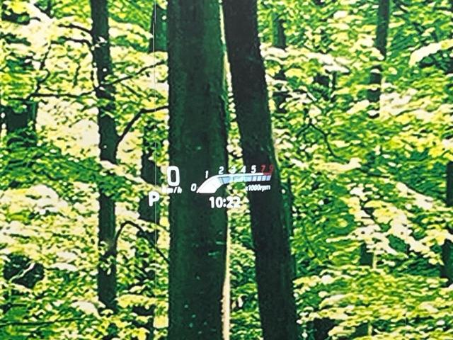 スペーシアカスタム ハイブリッドＸＳターボ　メーカー９インチナビ　両側電動ドア　全周囲カメラ　衝突軽減　レーダークルーズ　禁煙車　シートヒーター　ドラレコ　コーナーセンサー　スマートキー　ＬＥＤヘッド　ＥＴＣ（35枚目）