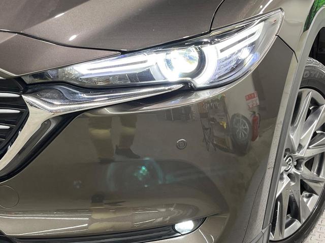 �y�k�d�c�w�b�h���C�g�z���V����ԑ��s�����ǍD�Ȏ��E���m�ۂ����S���ĉ^�]�ł��鍂�P�x�k�d�c�w�b�h���C�g�𑕔��I�_�����x�������A����d�͂��}�����Ă��܂��B