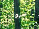 〇