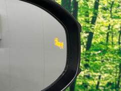 ڥ֥饤ɥݥåȥ˥桢ɥߥ顼λѤˤʤ䤹ս˸³֤᤹ܶȥɥߥ顼Υ󥺤˷ٹɽɥ饤Сմ򤷤Ƥޤ 7