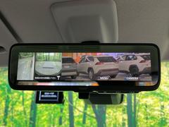 �ڥǥ�����롼��ߥ顼�۸��ʤ��礭�ʲ�ʪ��Ʊ��ԤǸ�������ǧ���Ť餤���Ǥ�¿�������餬���Ƥ�����ξ�����α�����롼��ߥ顼���ɽ�������ꥢ�ʻ볦�Ǿ����γ�ǧ����ǽ�Ǥ��� 5