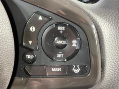 �ڥ����ץƥ��֥��롼������ȥ�����۹�®ƻϩ�Ǥ�Ĺ��Υ���Ԥ��ڤˡ�����ư��®�٤��ݤĥ��롼������ȥ����뤬�����ͷڸ������ƥ��Ϣ�Ȥ��������μ�ξ���Τ��Ƽִ֤��ݤĤ褦��®��Ĵ�ᤷ�Ƥ���ޤ����� 7