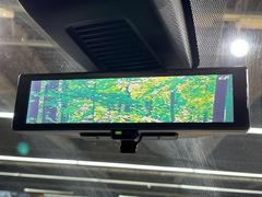 �ڥ���ƥꥸ����ȥ롼��ߥ顼�۸��ʤ��礭�ʲ�ʪ��Ʊ��ԤǸ�������ǧ���Ť餤���Ǥ�¿�������餬���Ƥ�����ξ�����α�����롼��ߥ顼���ɽ�������ꥢ�ʻ볦�Ǿ����γ�ǧ����ǽ�Ǥ��� 7