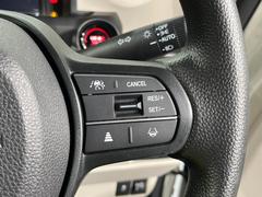 �ڥ����ץƥ��֥��롼������ȥ�����۹�®ƻϩ�Ǥ�Ĺ��Υ���Ԥ��ڤˡ�����ư��®�٤��ݤĥ��롼������ȥ����뤬�����ͷڸ������ƥ��Ϣ�Ȥ��������μ�ξ���Τ��Ƽִ֤��ݤĤ褦��®��Ĵ�ᤷ�Ƥ���ޤ����� 6